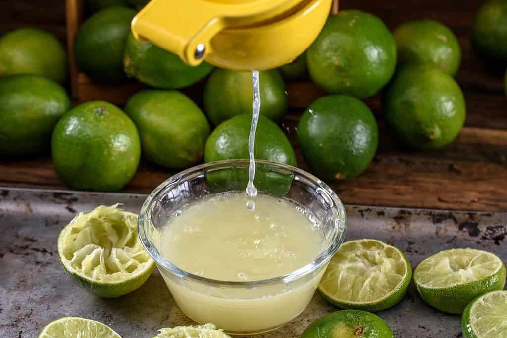 Lemon Juice Food Food from Argentina Lemon Juice