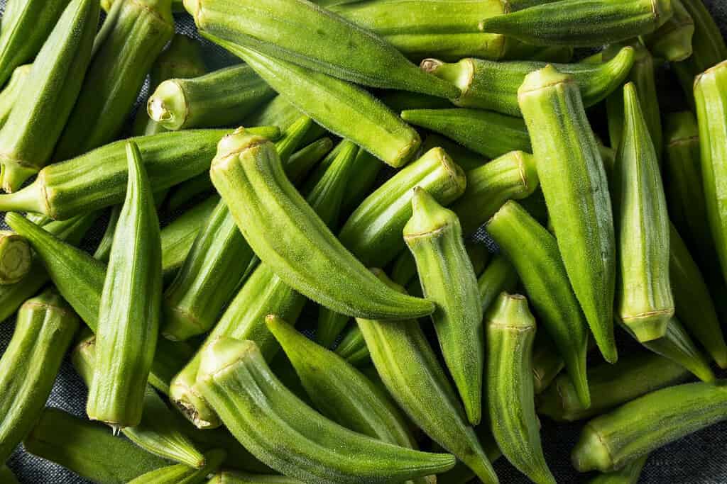 Okra Food Okra
