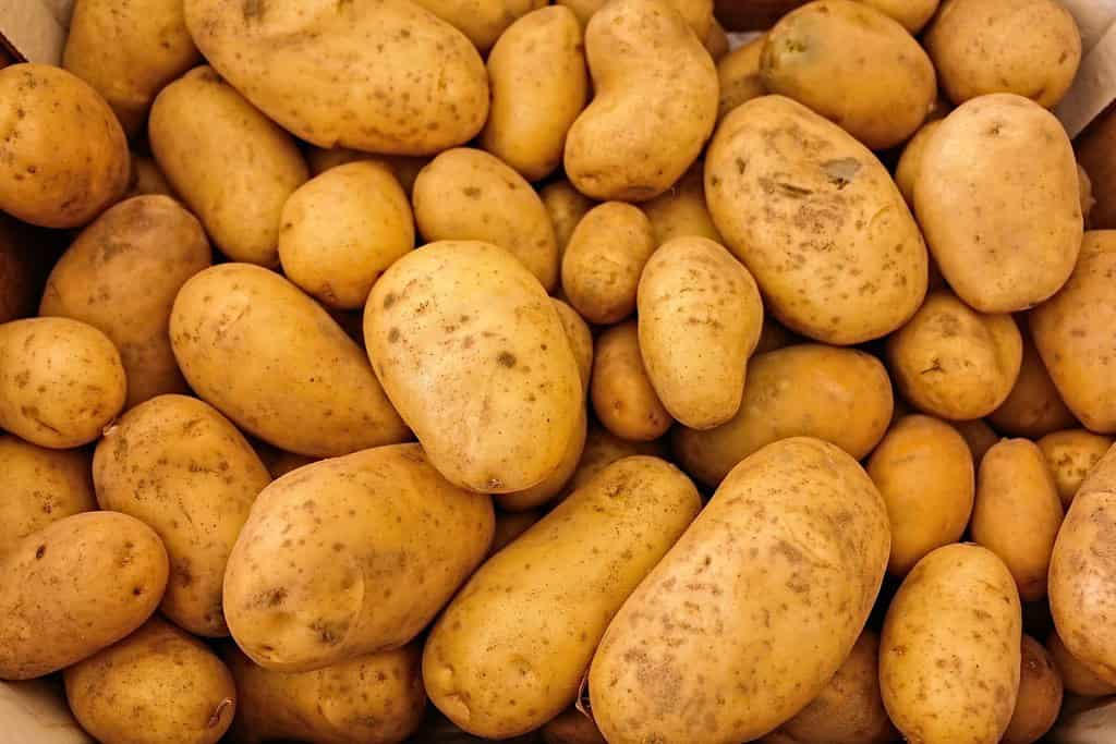 Potatoes Bhutan, Food Potatoes