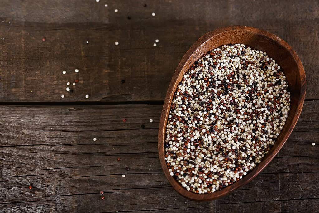 Quinoa Food Food from Peru Quinoa