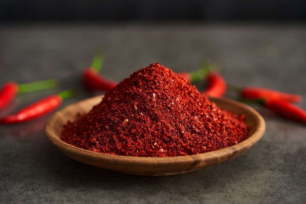 Red Pepper Flakes Food Food from Argentina Red Pepper Flakes
