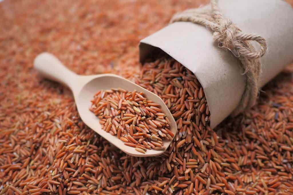 Red Rice Bhutan, Food Food from Bhutan Red Rice
