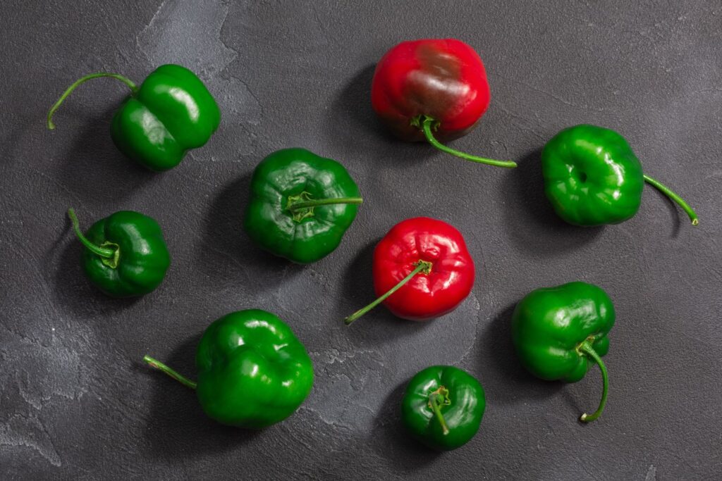 Rocoto Pepper Food Food from Peru Rocoto Pepper
