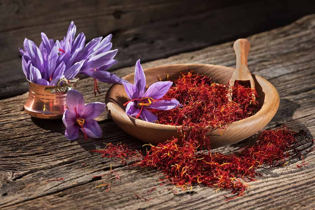 Saffron Food Food from Azerbaijan Saffron