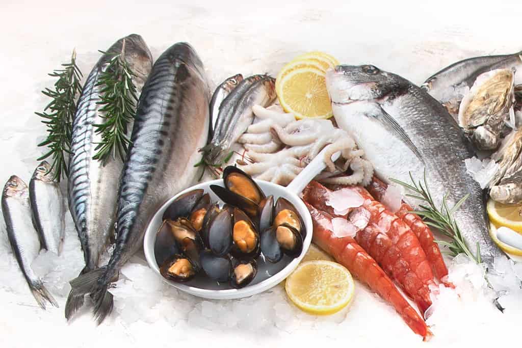 Seafood Food Food from Peru Seafood
