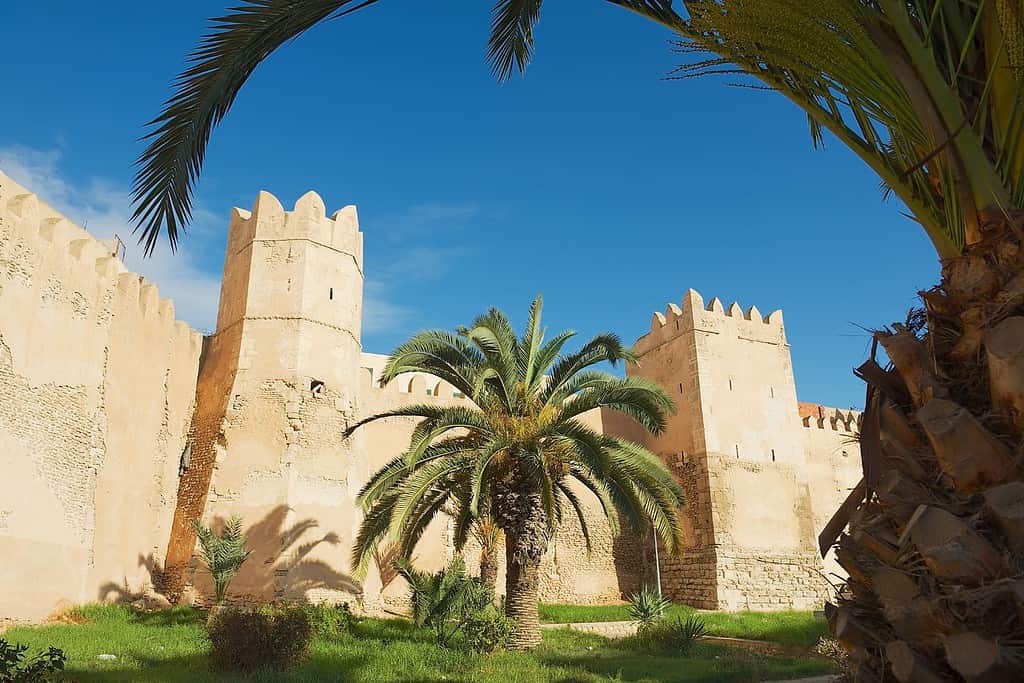Sfax Food Food from Tunisia Sfax