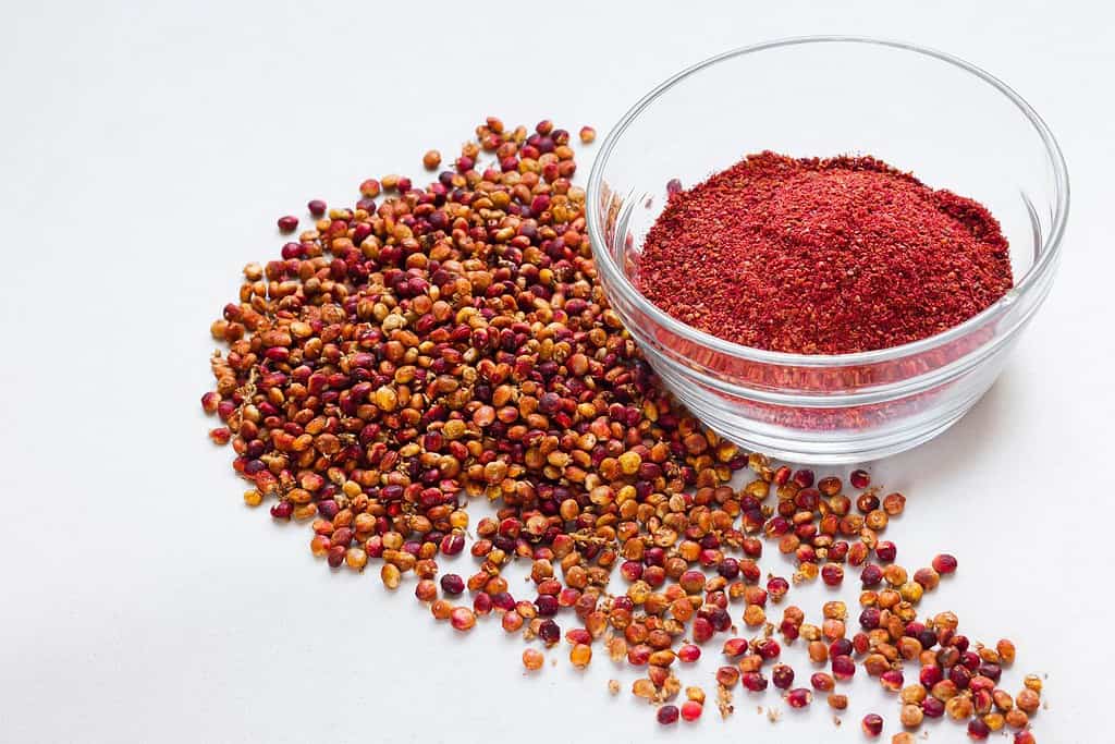 Sumac Food Food from Azerbaijan Sumac