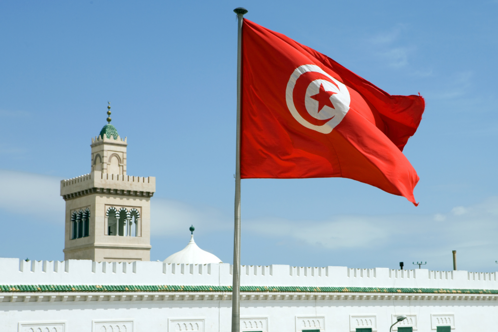 Tunisa Tour