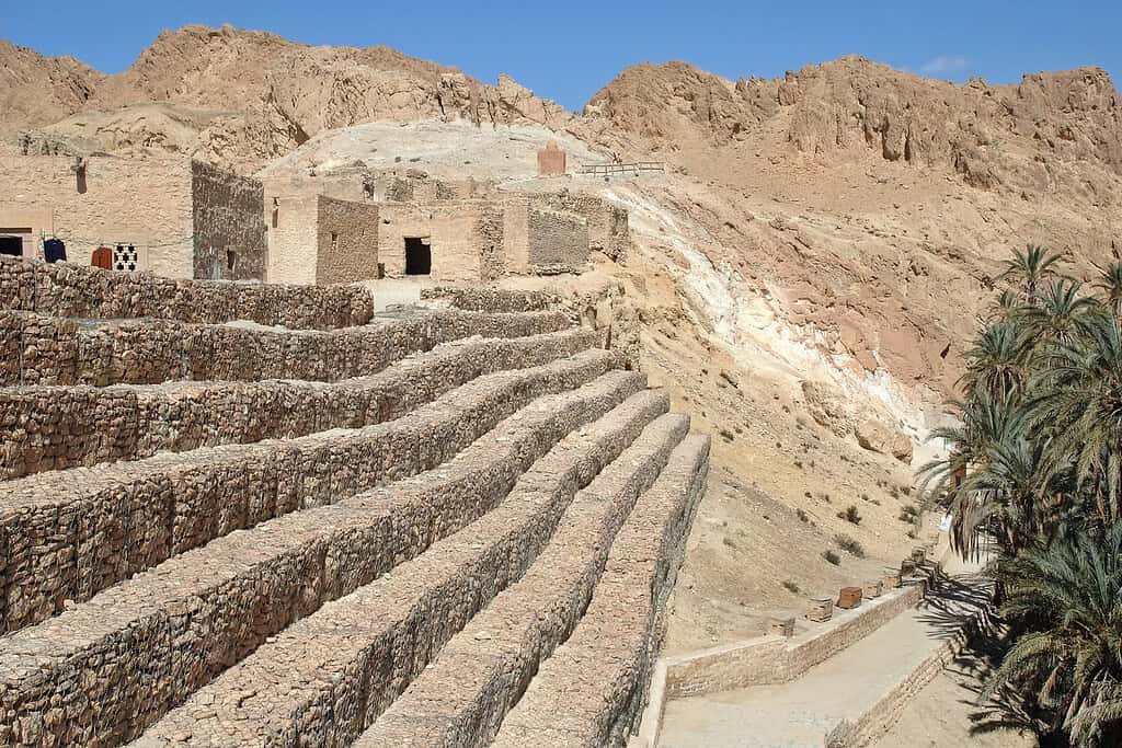 Tours in tunisia