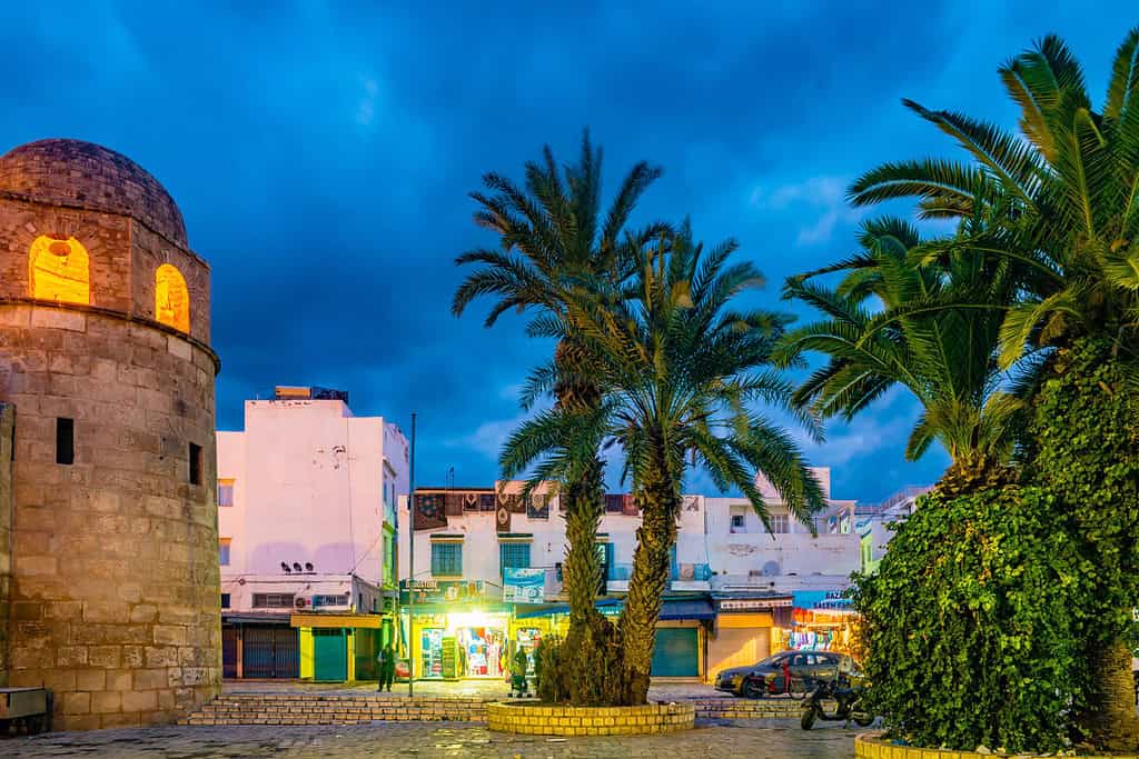 Tours in tunisia