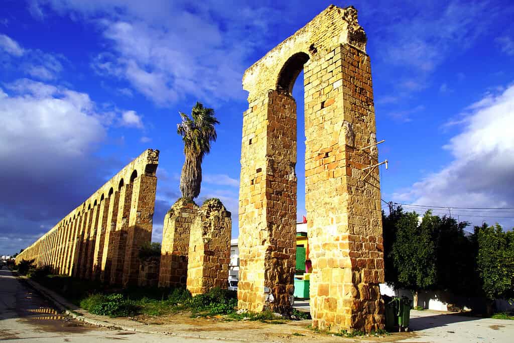 Tunisa Tour