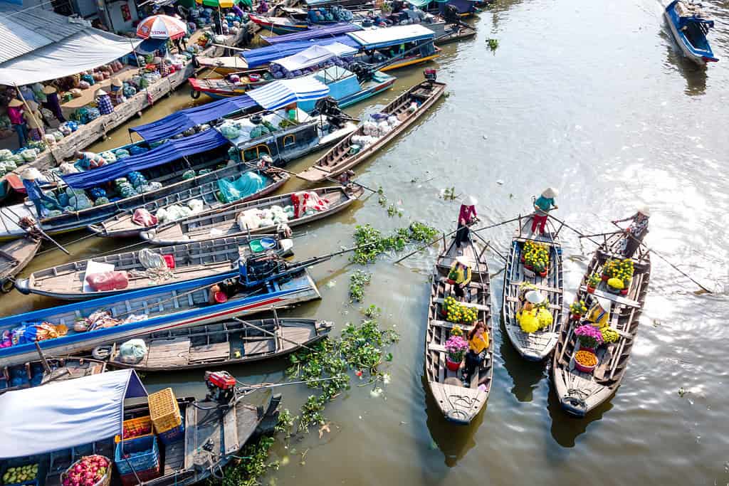 Tours in Vietnam