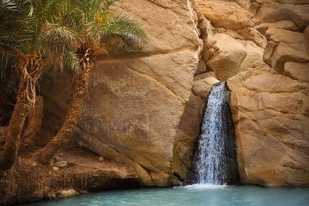 Tours in tunisia