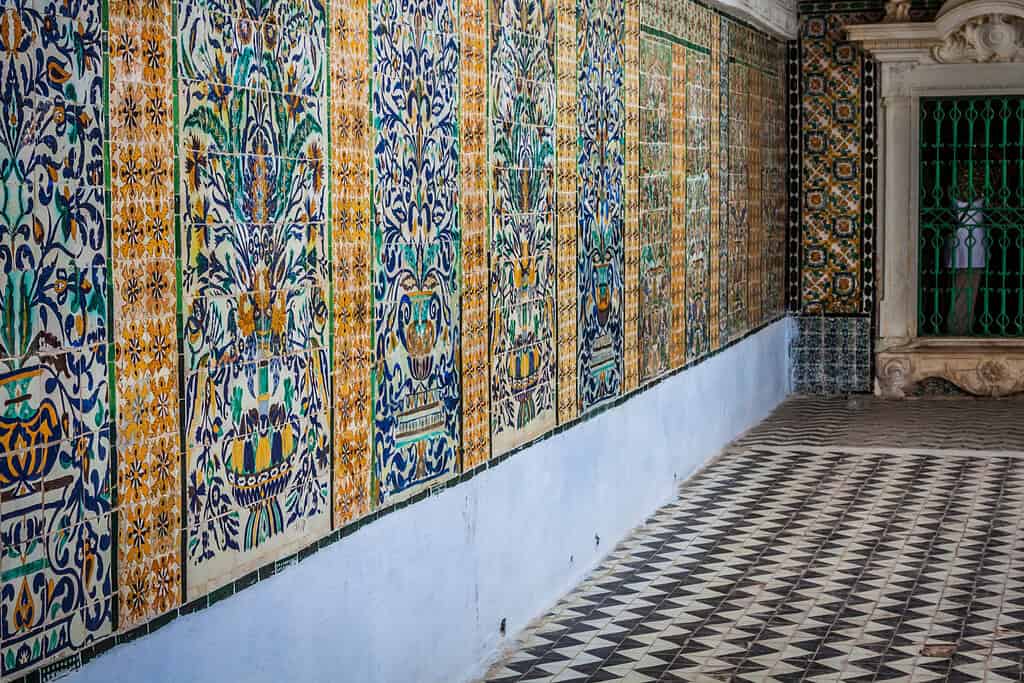 Tours in tunisia