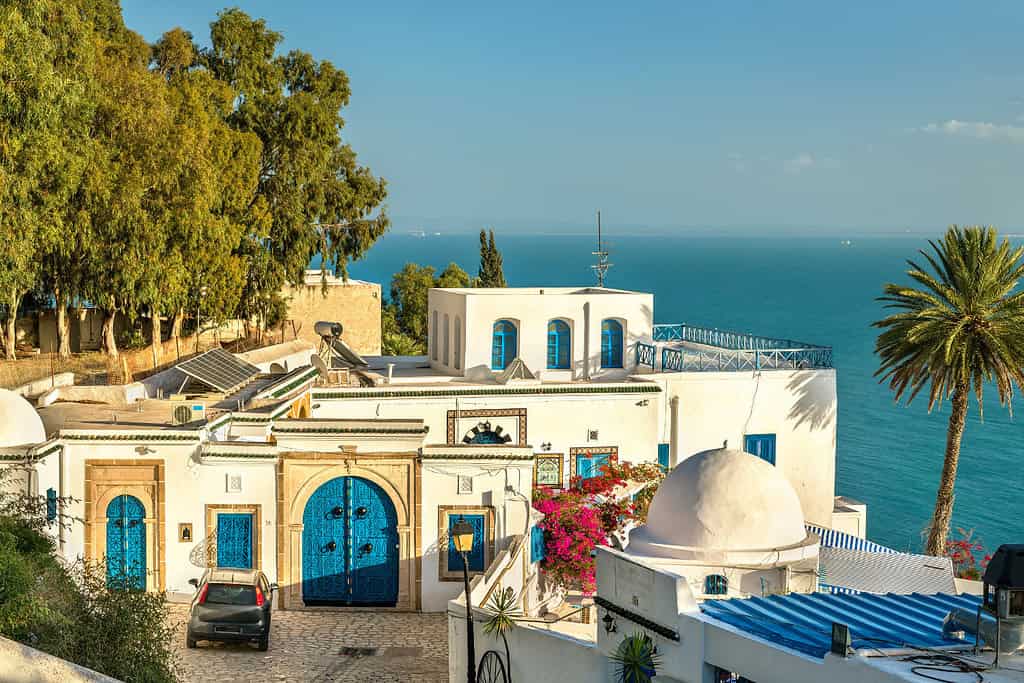 Tours in tunisia