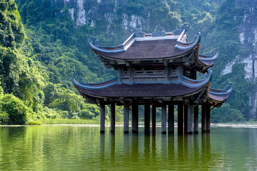 Tours in Vietnam