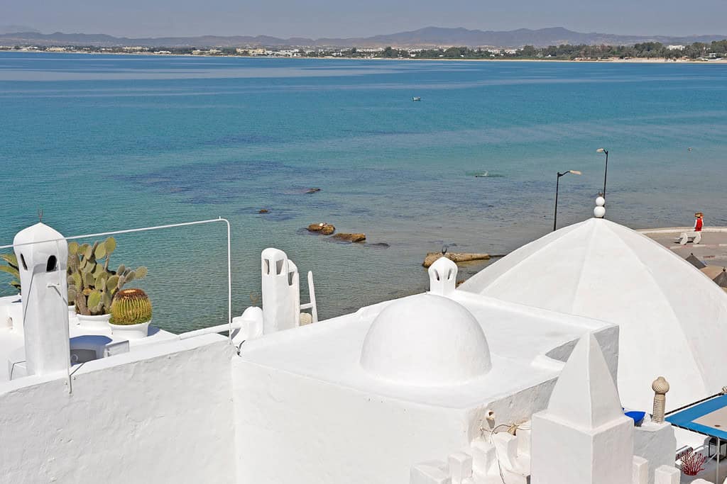 Tours in tunisia