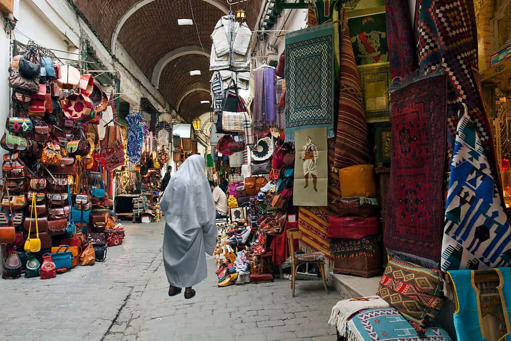 Tours in tunisia