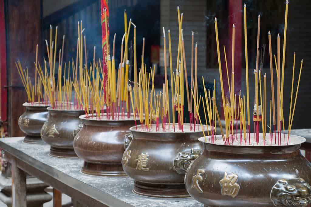 Tours in Vietnam