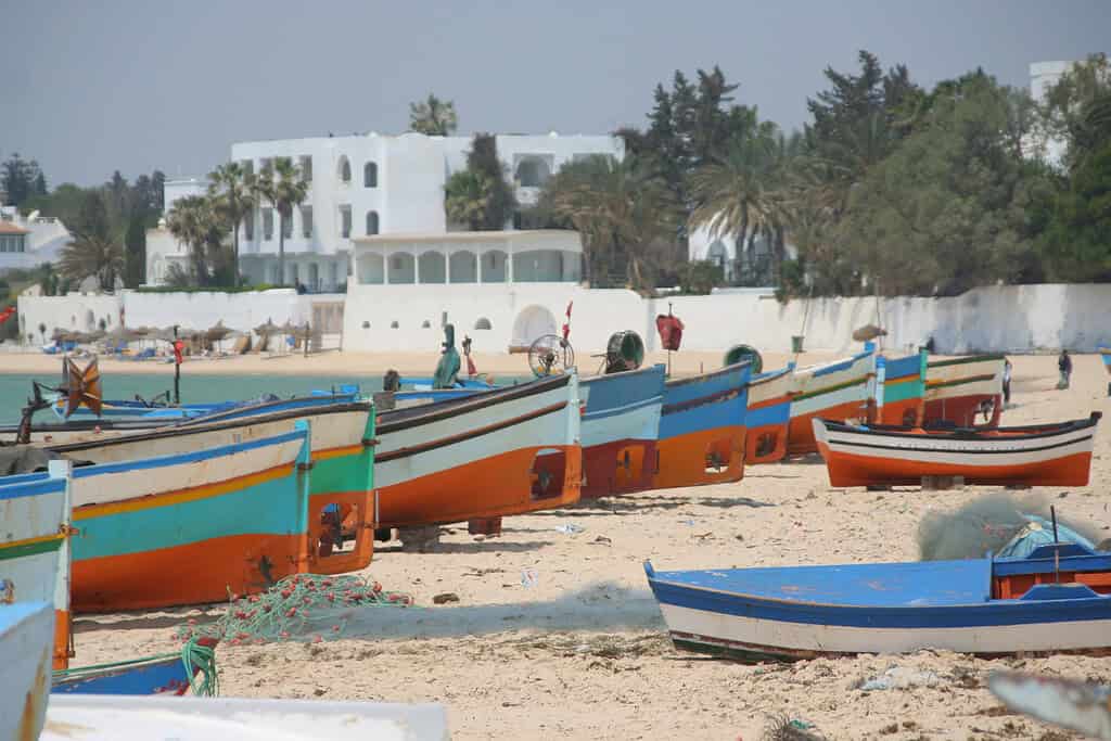 Tours in tunisia