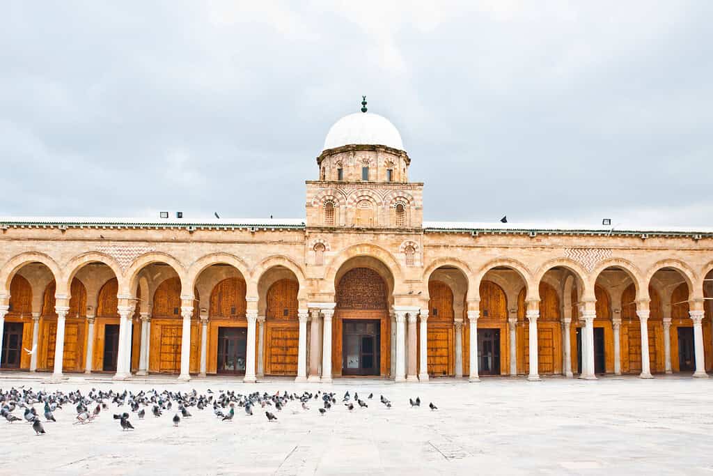 Tours in tunisia