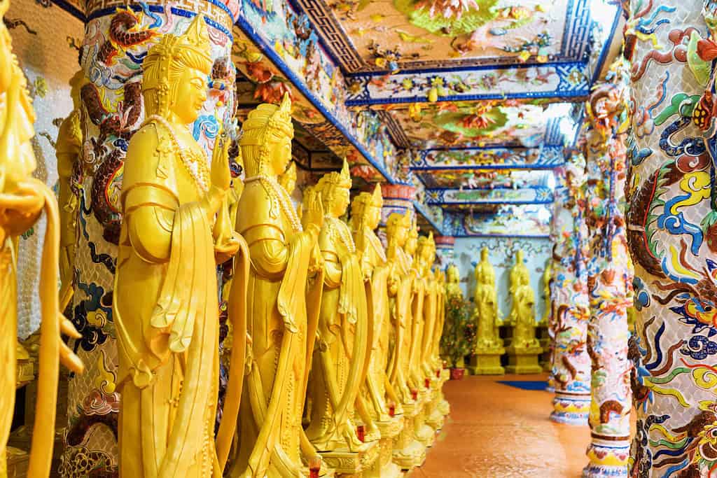 Tours in Vietnam
