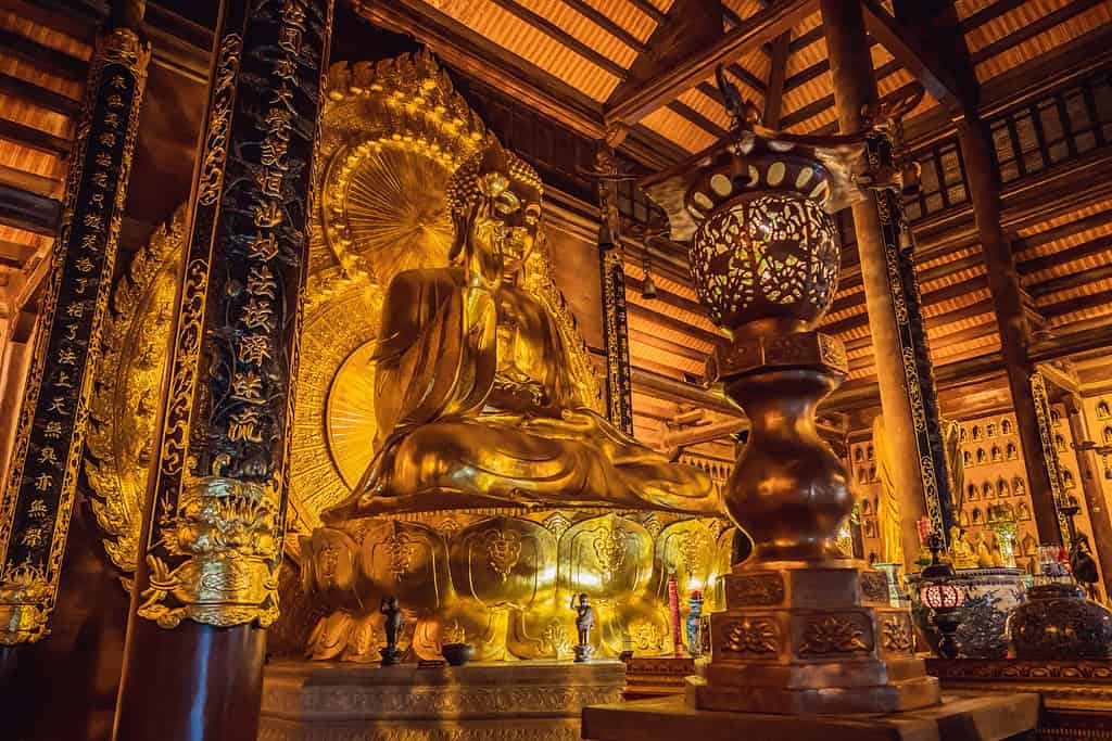 Tours in Vietnam