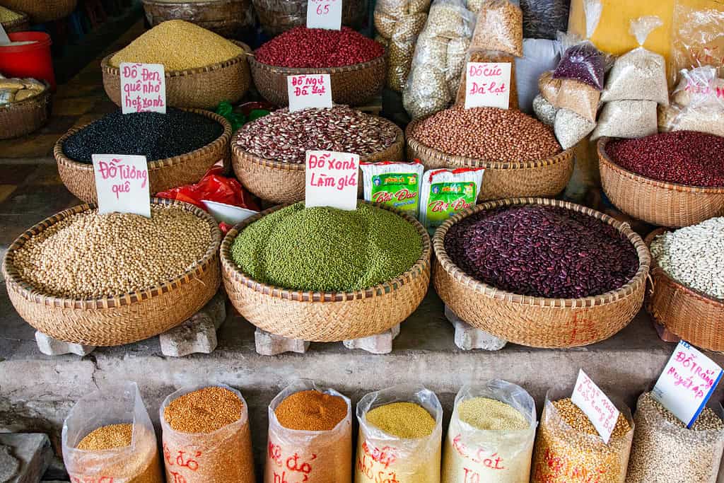 Tours in Vietnam