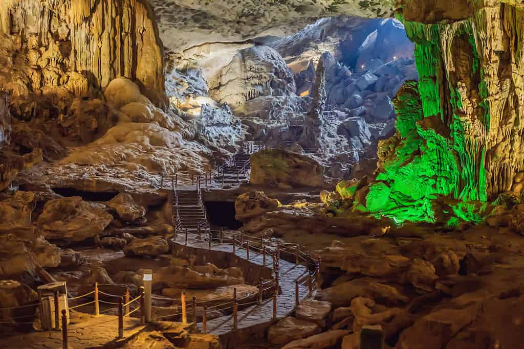 Tours in Vietnam