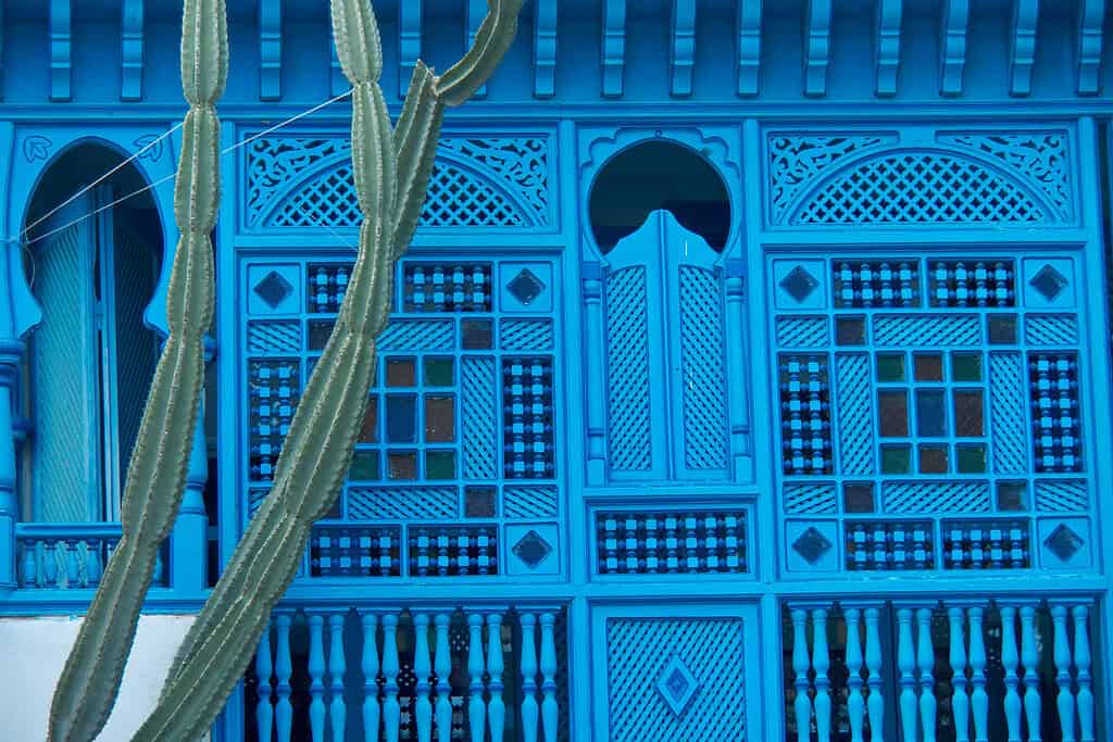 Tours in tunisia