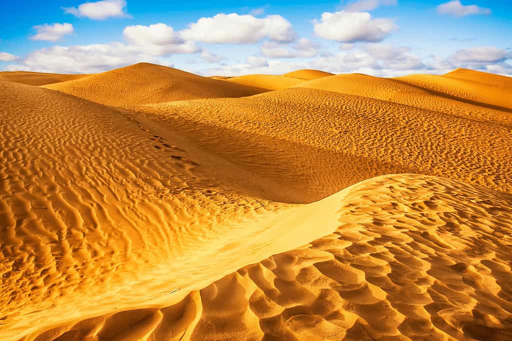 Tours in tunisia