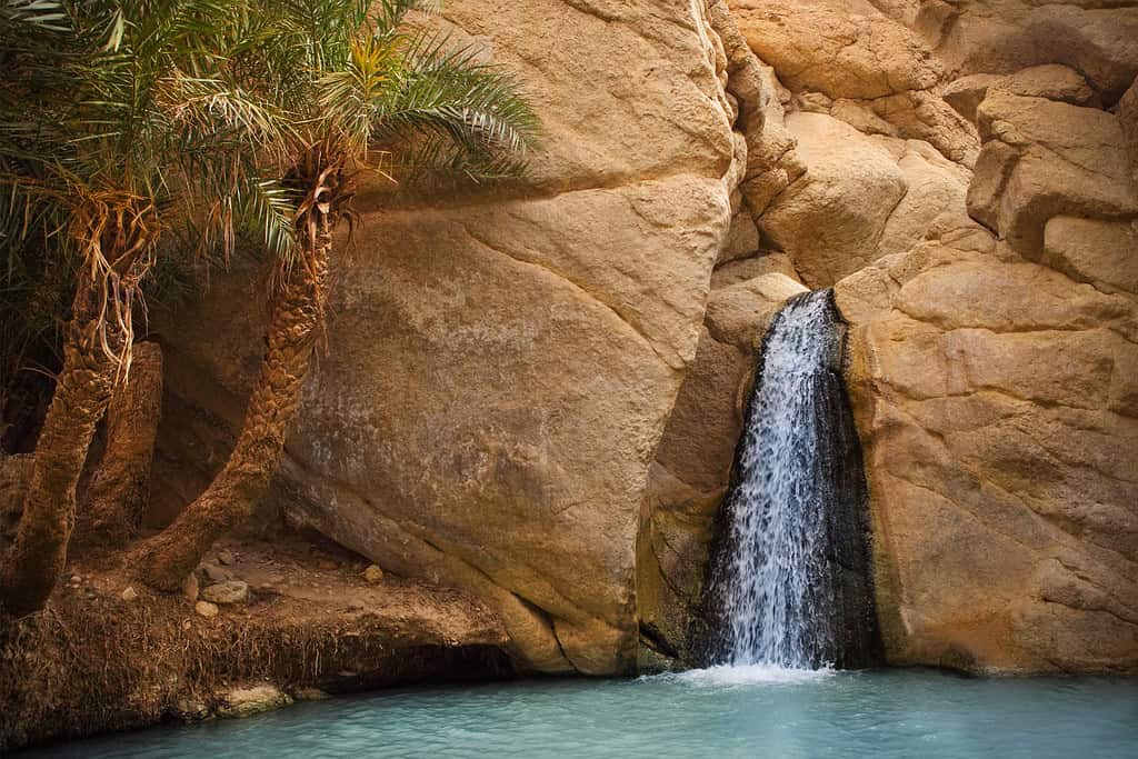 Tours in tunisia