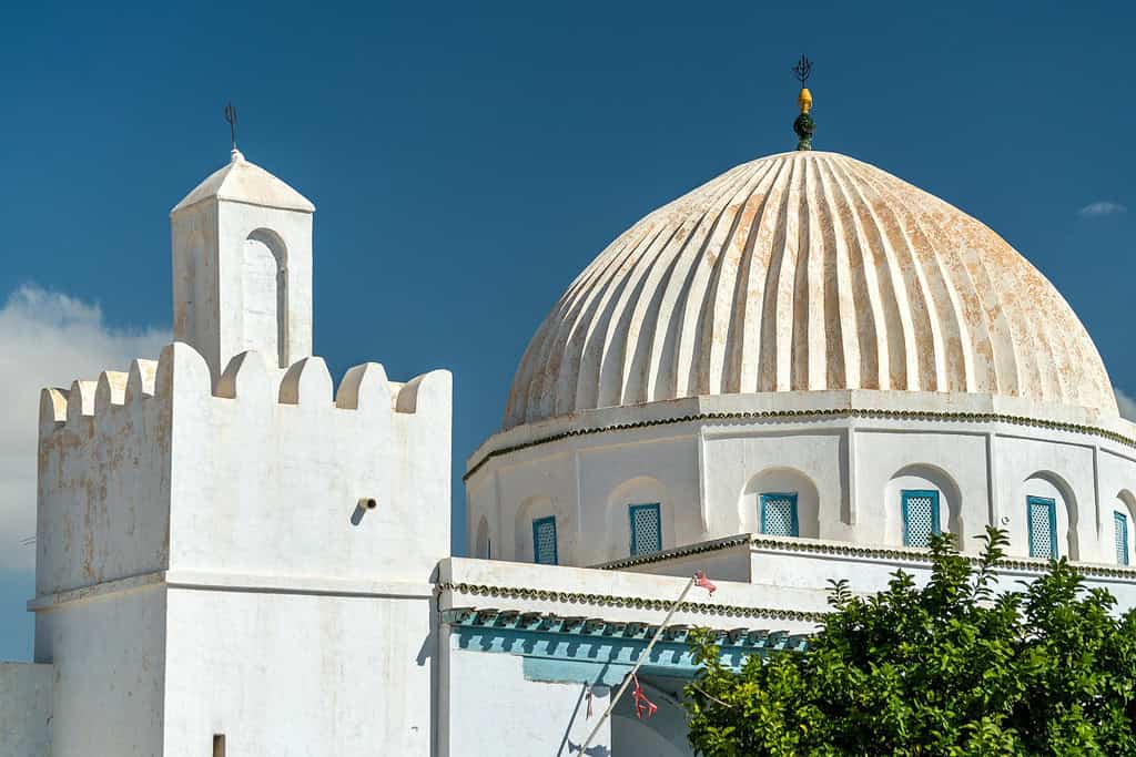 Tours in tunisia