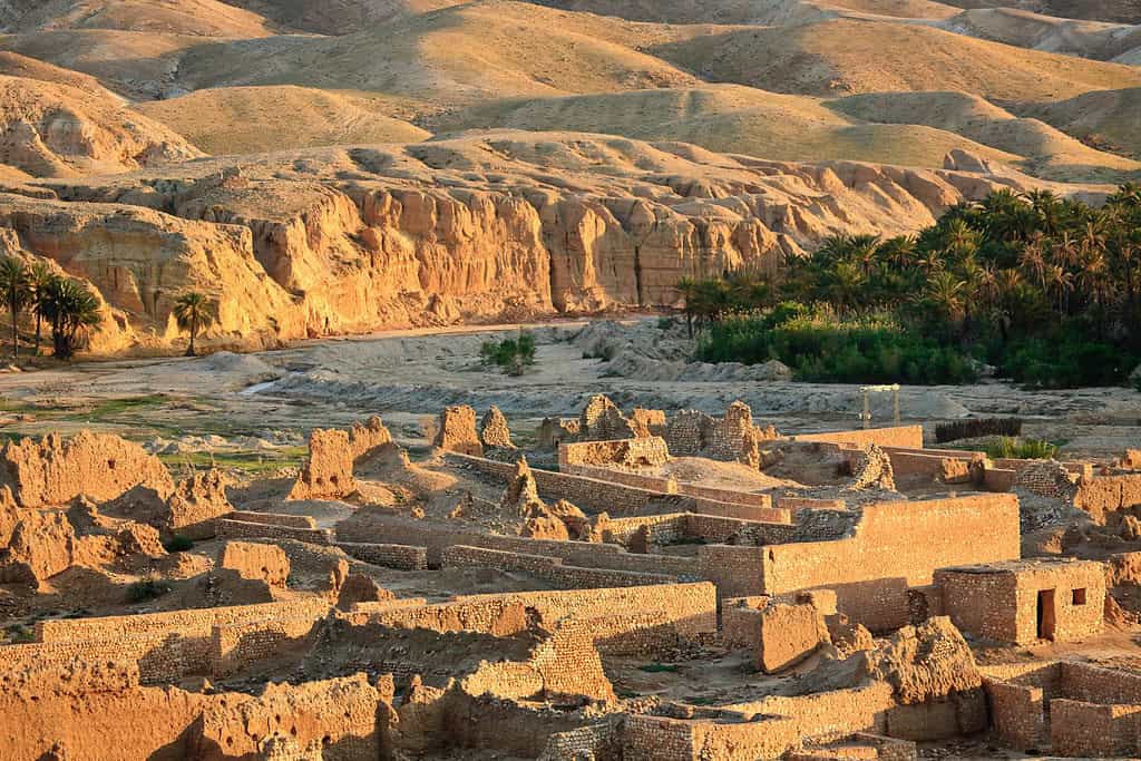 Tours in tunisia