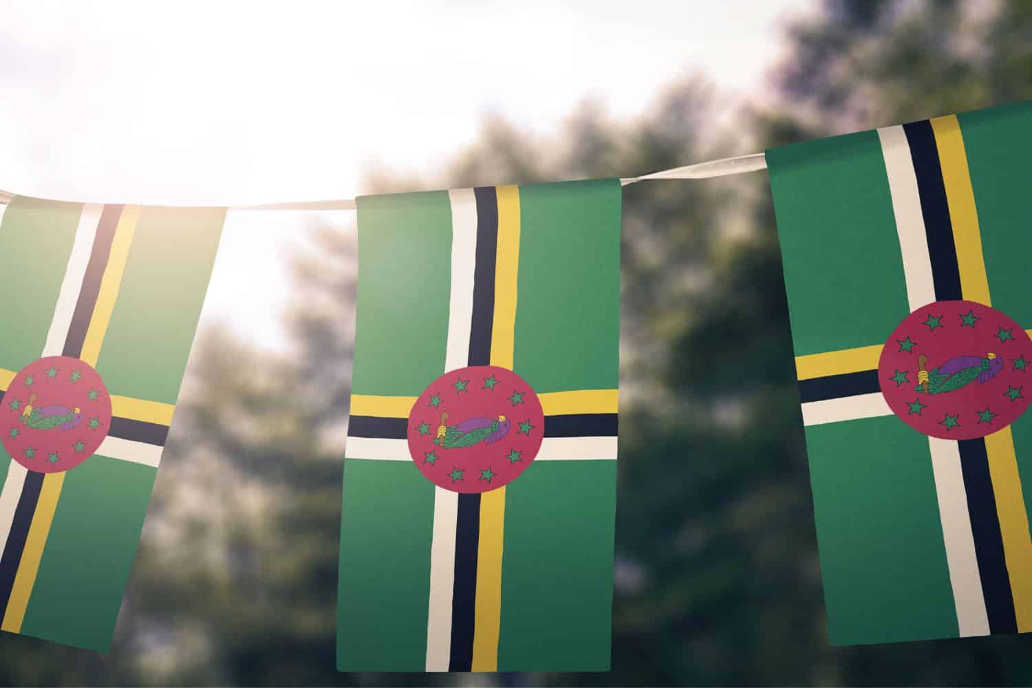 Dominican flag Flags Dominican flag