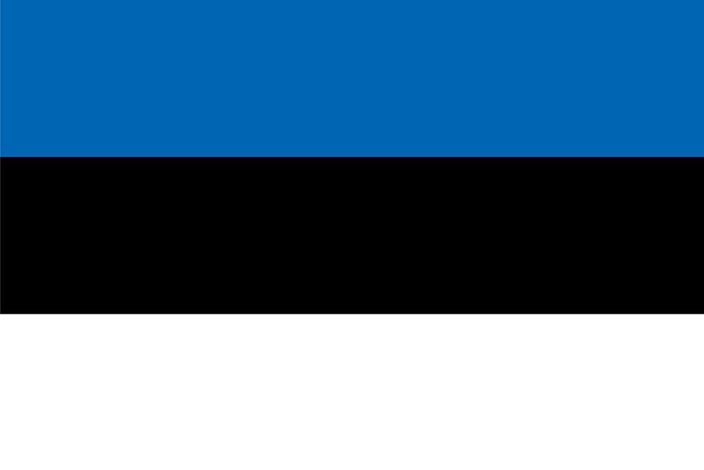 Estonian Flag Flags Estonian Flag