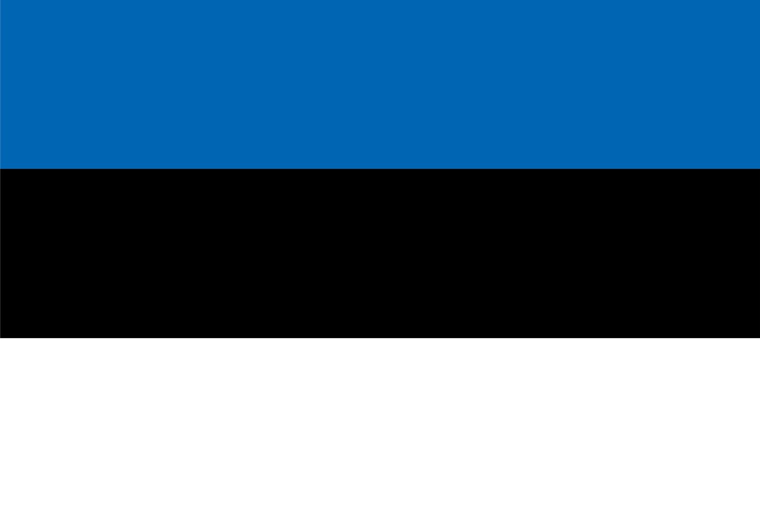 Estonian Flag Flags Estonian Flag