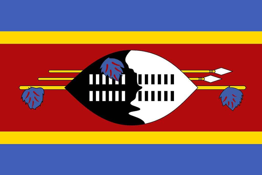 Eswatini Flag Flags Eswatini Flag