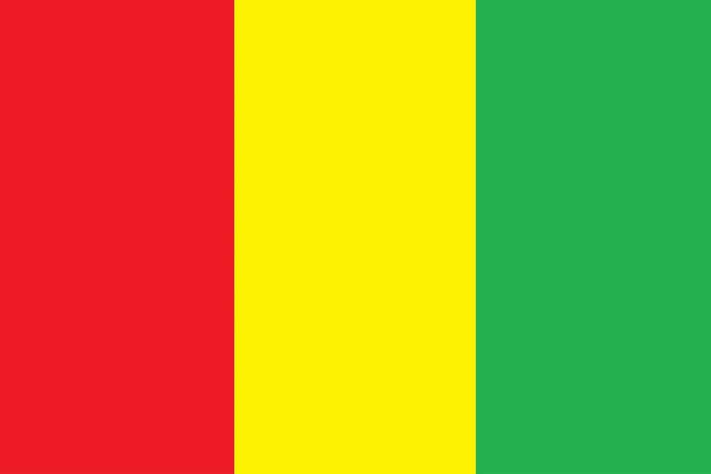Guinea Flag Flags Guinea Flag