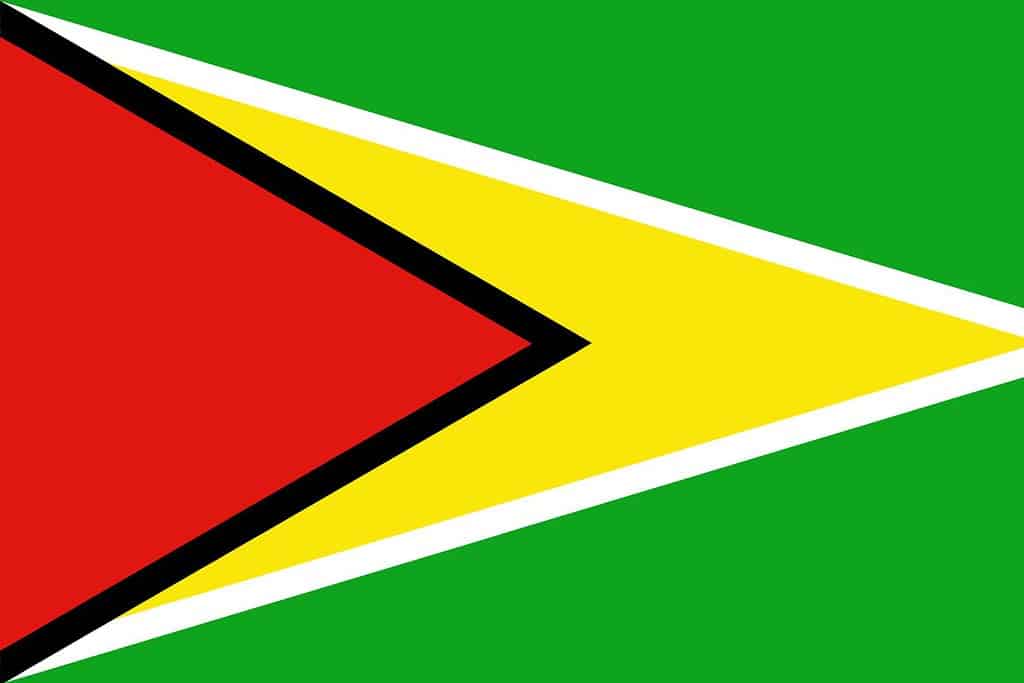 Guyana Flag Flags Guyana Flag