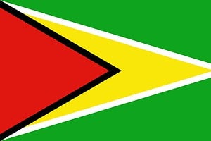 Guyana Flag