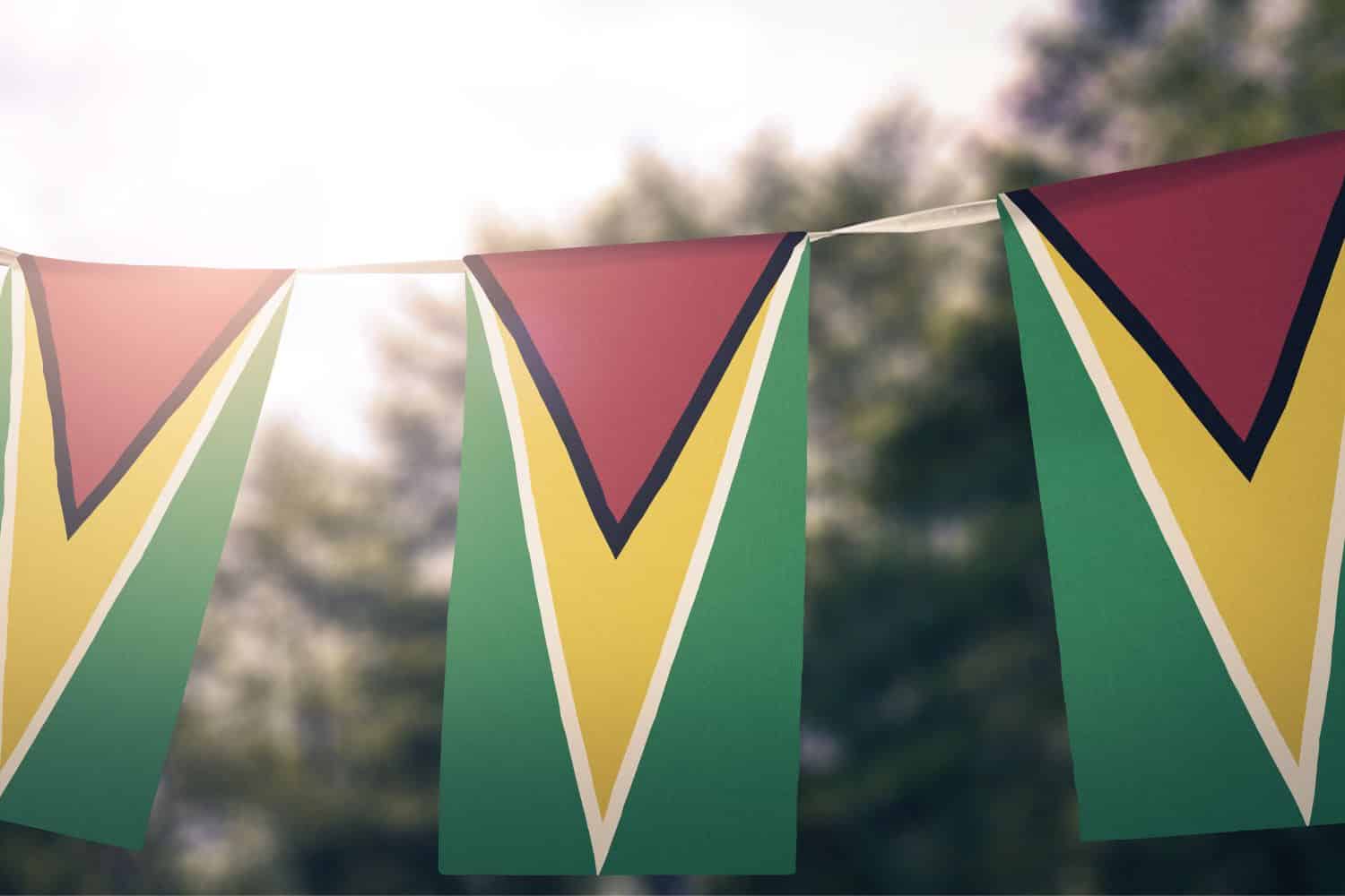 Guyanese Flag Flags Guyanese Flag