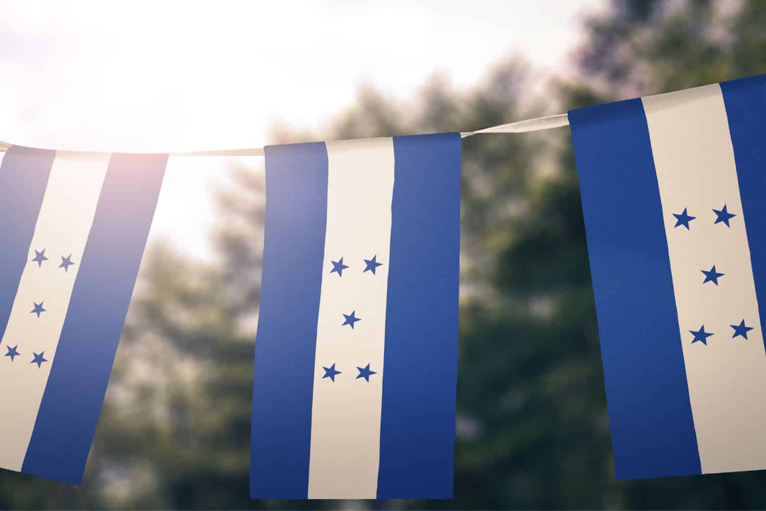 Honduran Flag Flags Honduran Flag