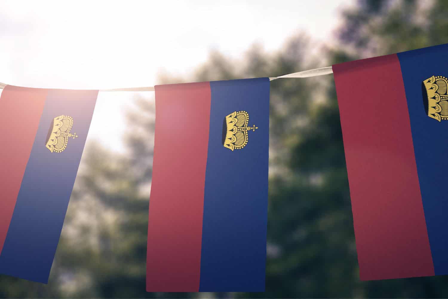 Liechtenstein Flag 2 Flags Liechtenstein Flag
