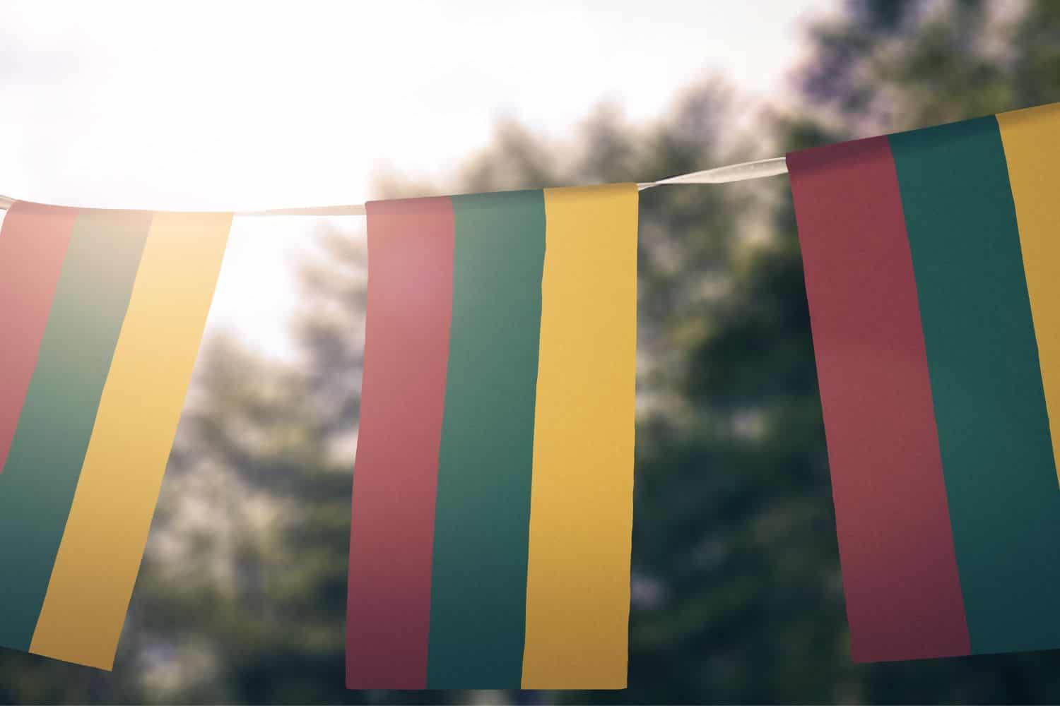 Lithuanian Flag Flags Lithuanian Flag