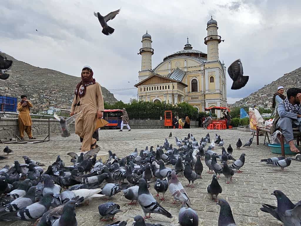 Shah Do Shamshira Mosque Kabul