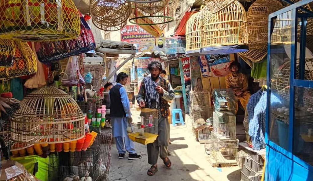 Afghanistan Travel Guidelines Guidelines Afghanistan Travel Guidelines